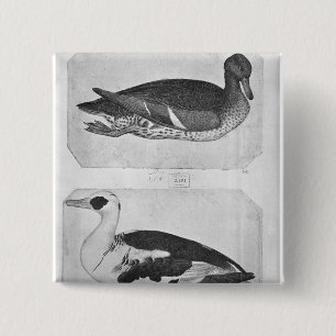 Ducks, from the The Vallardi Album 15 Cm Square Badge
