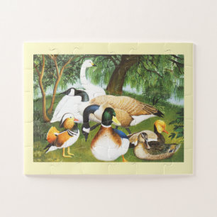 Ducks, geese and swan birds jigsaw puzzle