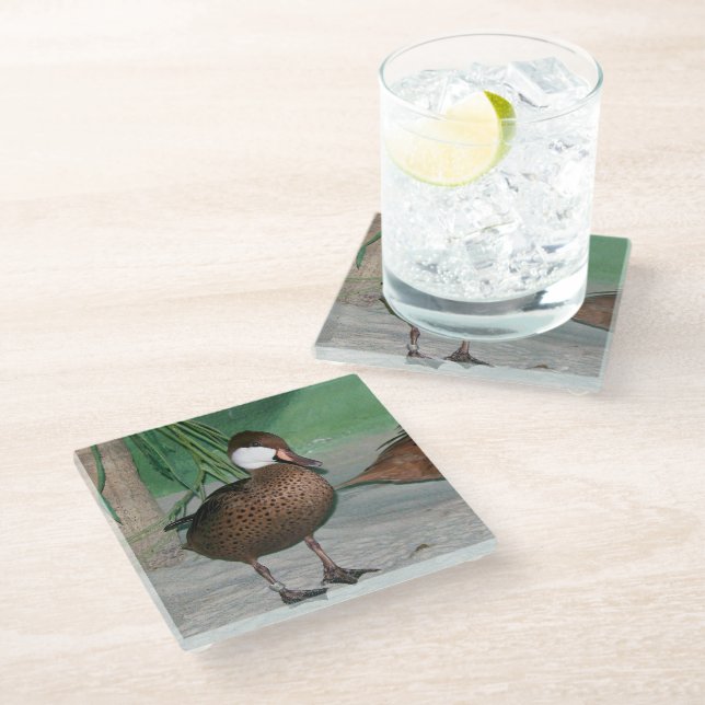 Ducks Glass Coaster (Angled)