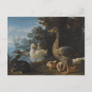 Ducks Guinea Pigs and a Rabbit in a Wooded Landsc Postcard