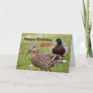 Ducks Happy Birthday BFF Card