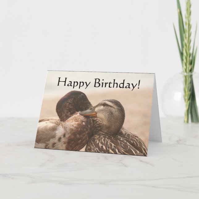 Ducks Happy Birthday Card (Front)