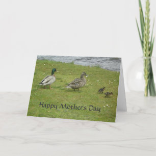 Ducks Happy Mothers Day Card