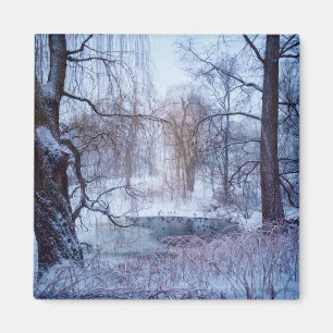 Ducks In A Frozen Pond In New York’s Central Par Magnet