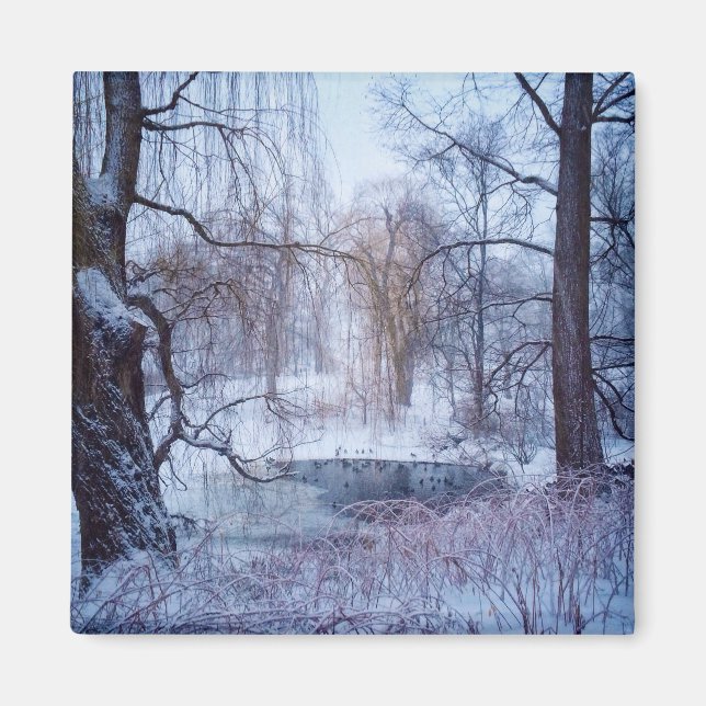 Ducks In A Frozen Pond In New York’s Central Park Magnet (Front)