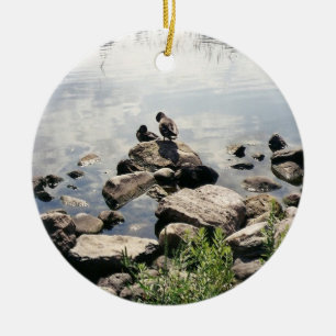 ducks in a river. ducks resting on rocks in summer ceramic tree decoration