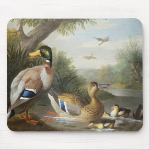 Ducks in a River Landscape Mouse Mat