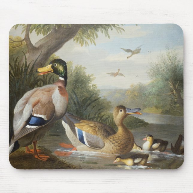 Ducks in a River Landscape Mouse Mat (Front)