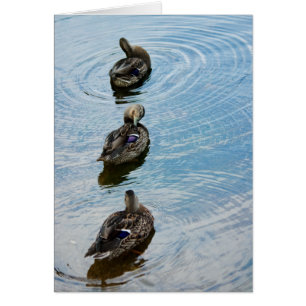 Ducks in a Row