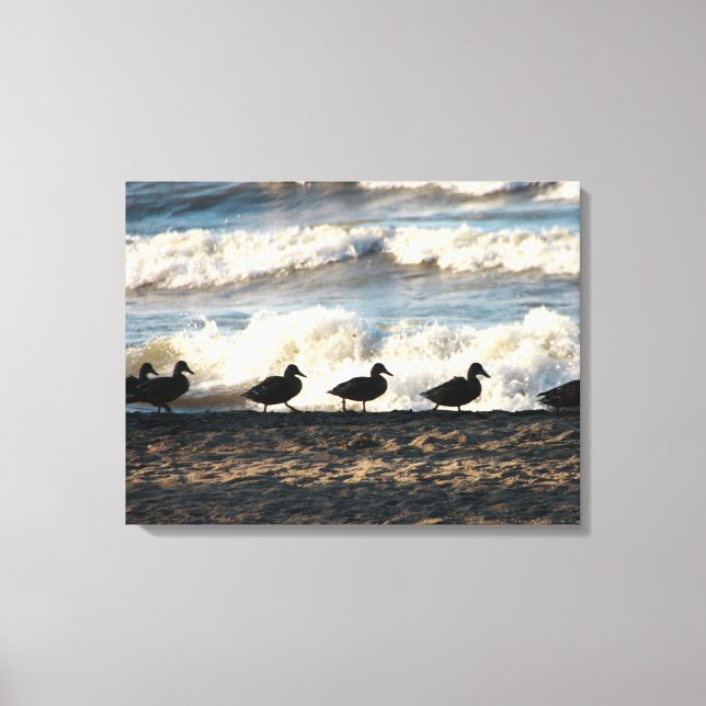 Ducks in a row canvas print (Front)