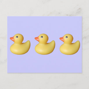 Ducks in a Row Postcard