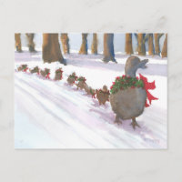 ducks in boston common during the winter holidays