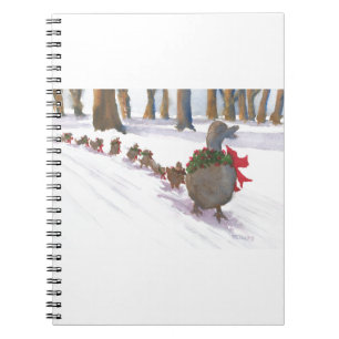 ducks in boston common during the winter holidays notebook