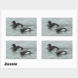 Ducks in Ocean Photo Stickers