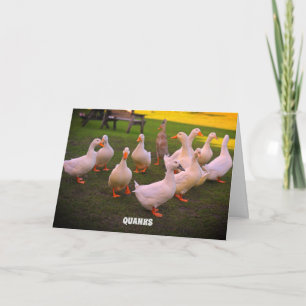 Ducks in the Park Funny Duck Quanks Thank You Card