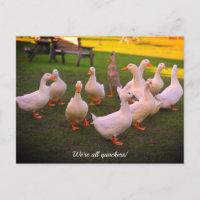 Ducks in the Park Funny Quackers