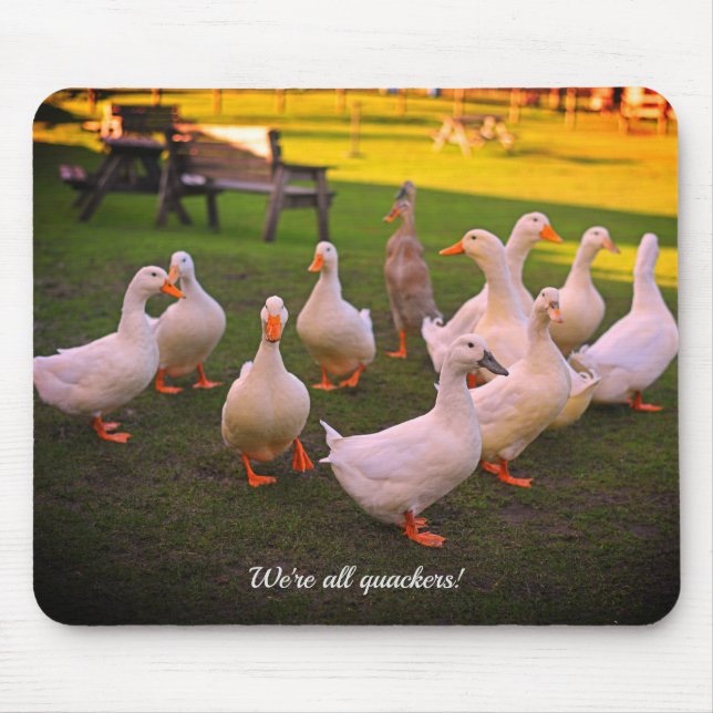 Ducks in the Park Funny We're all Quackers Mouse Mat (Front)