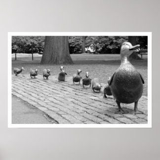 Ducks in the Public Garden Print