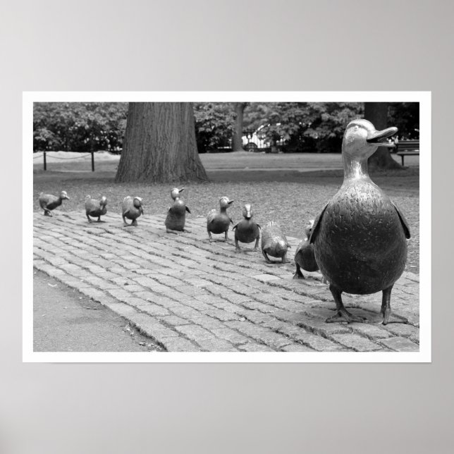 Ducks in the Public Garden Print (Front)