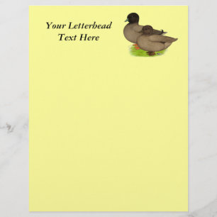 Ducks: Khaki Calls