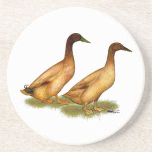 Ducks: Khaki Campbell Coaster