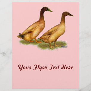 Ducks: Khaki Campbell Flyer