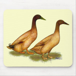 Ducks: Khaki Campbell Mouse Mat