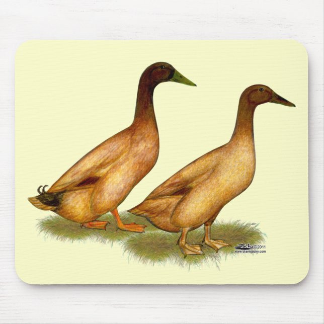 Ducks:  Khaki Campbell Mouse Mat (Front)