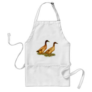 Ducks:  Khaki Campbell Standard Apron