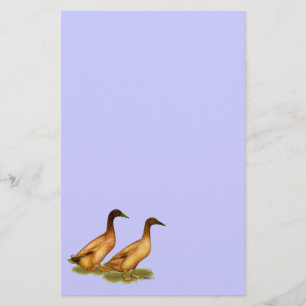 Ducks:  Khaki Campbell Stationery