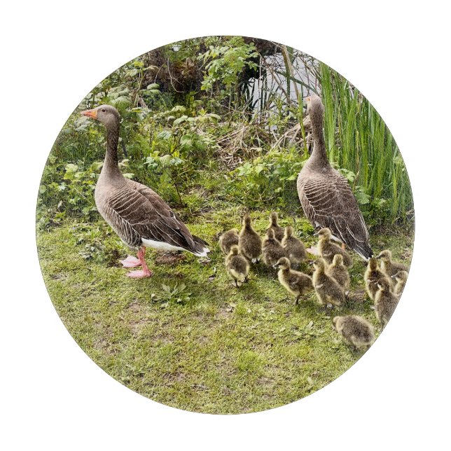 Duck's life.. cutting board (Front)