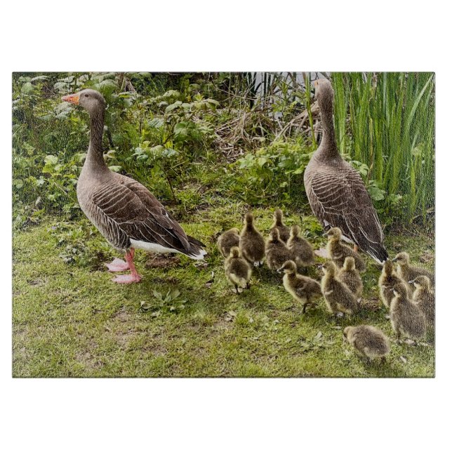 Duck's life.. cutting board (Front)