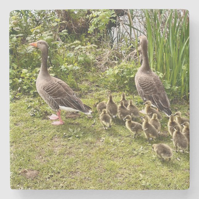Duck's life.. stone coaster (Front)