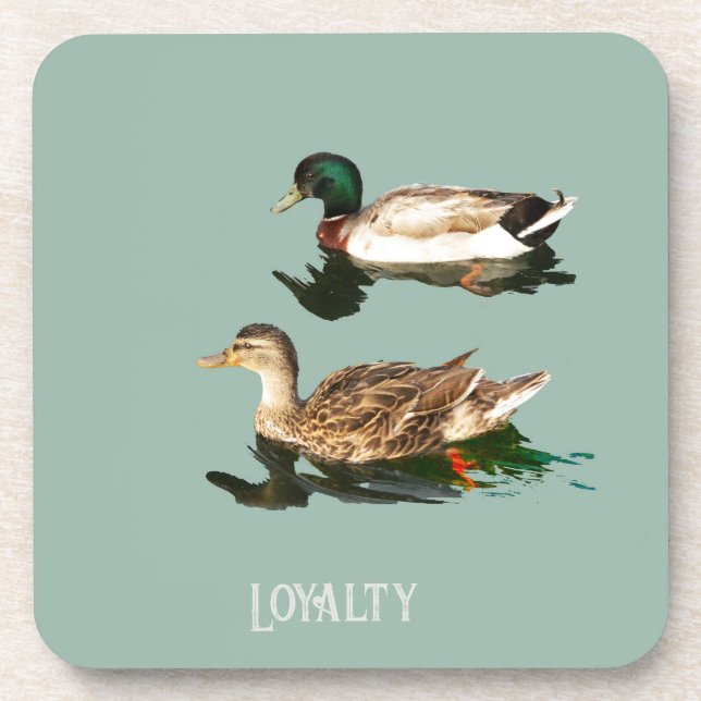 Ducks loyalty coaster (Front)