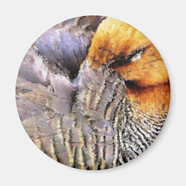 DUCKS MAGNET (Front)