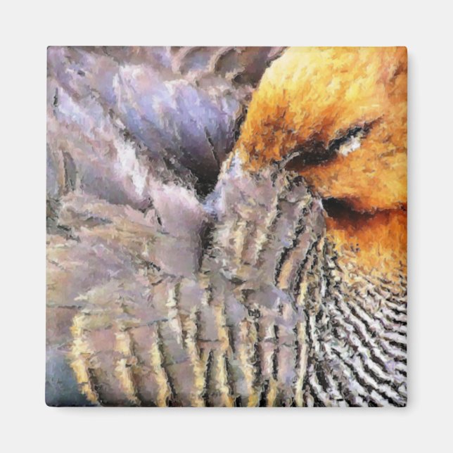 DUCKS MAGNET (Front)