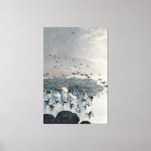Ducks, Mallards and Swans on the lake at sunset Canvas Print