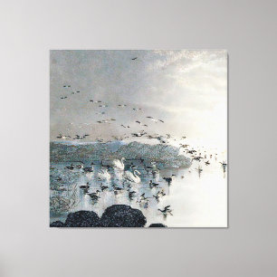 Ducks, Mallards and Swans on the lake at sunset Canvas Print