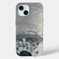 Ducks, Mallards and Swans on the lake at sunset