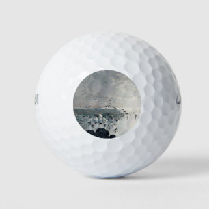 Ducks, Mallards and Swans on the lake at sunset Golf Balls