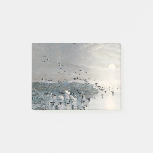 Ducks, Mallards and Swans on the lake at sunset Post-it Notes (Front)