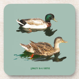 Ducks mallards coaster