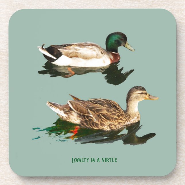 Ducks mallards coaster (Front)