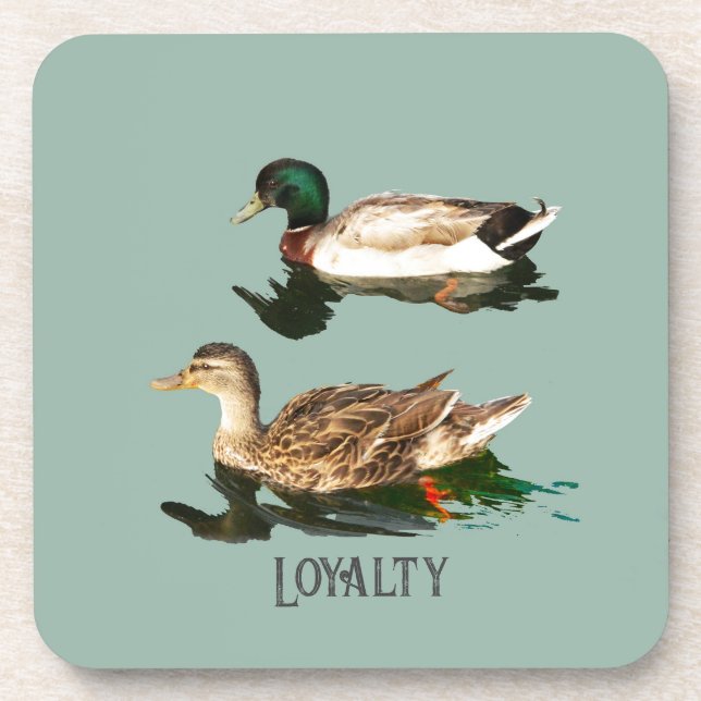 Ducks mallards coaster (Front)