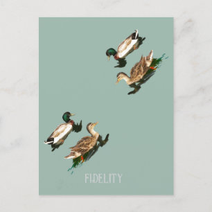 Ducks mallards edible frosting rounds holiday postcard