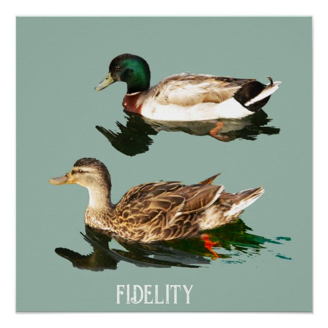 Ducks mallards edible frosting rounds poster (Front)