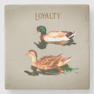 Ducks mallards. Loyalty Stone Coaster