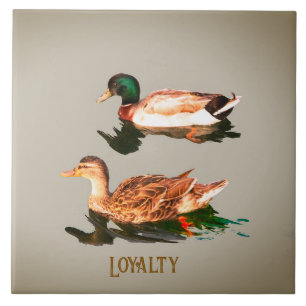 Ducks mallards. Loyalty Tile
