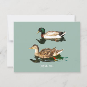 Ducks mallards postcard