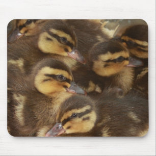 Ducks!! Mouse Mat